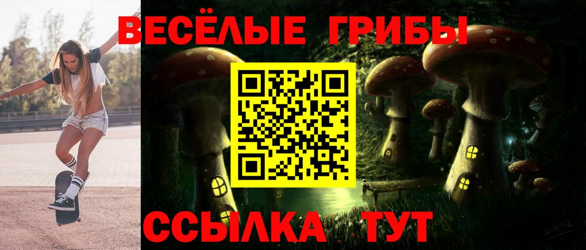 Галлюциногенные грибы ЛСД  Вход с VPN  Альметьевск  Галлюциногенные грибы Psilocybine cubensis 